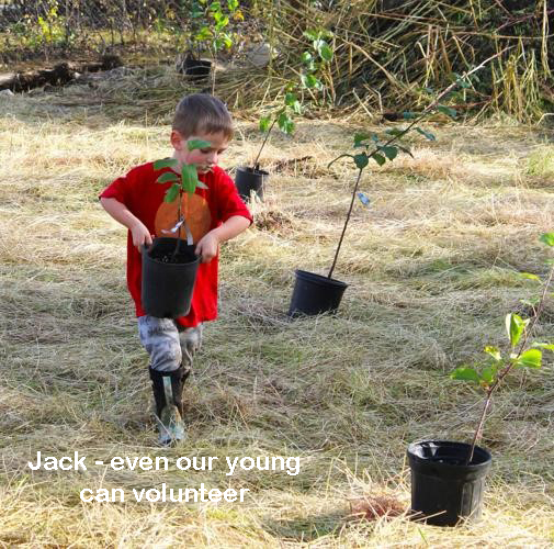 Jack - our youngest volunteer